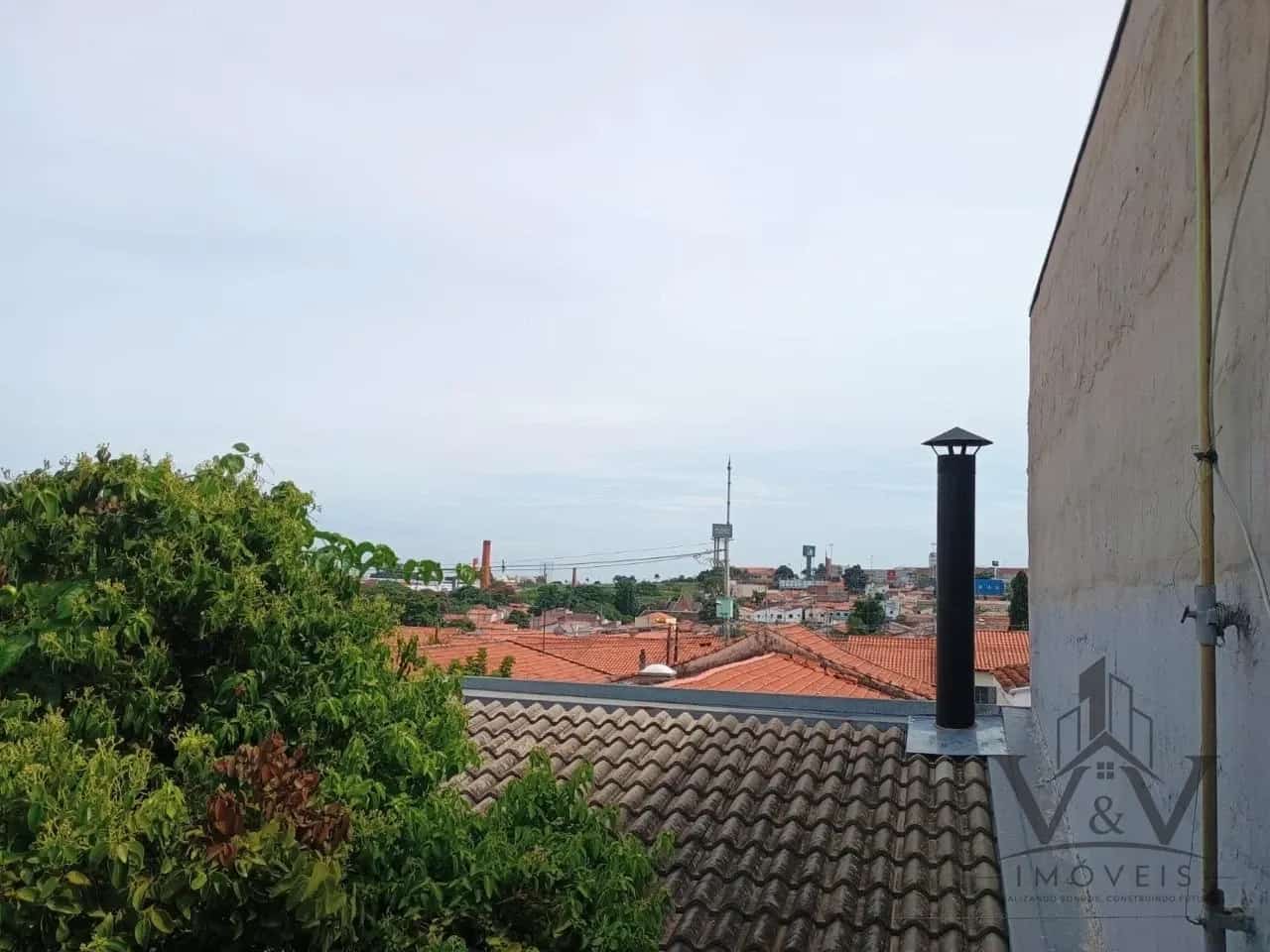 Miniatura 14